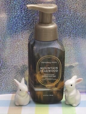 Bath Body Works Fall Mountain Teakwood Gentle & Clean Foaming Hand Soap 8oz NEW